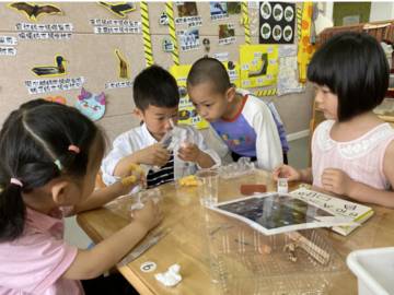 《湖南省幼儿园区域活动项目与材料》实施要点